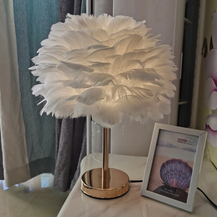 Nordic Creative Lovely Bedroom Bed Floor Lamp Natural Super Fluffy Feather Floor Lamp